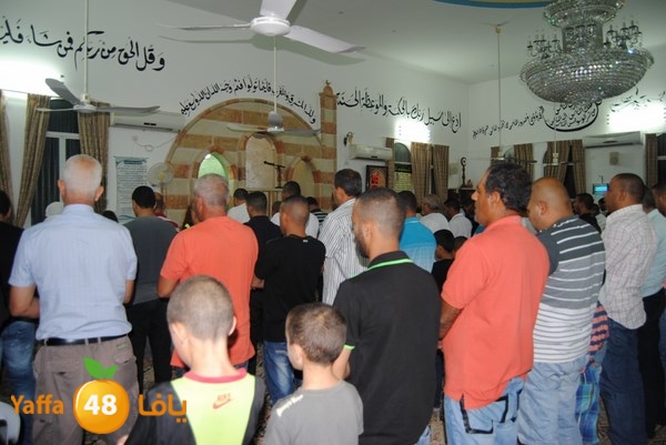 tarawe7 ramlasjju (1).JPG